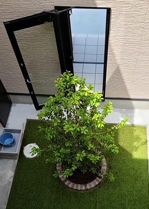 Private garden